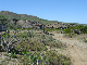 DSC01217