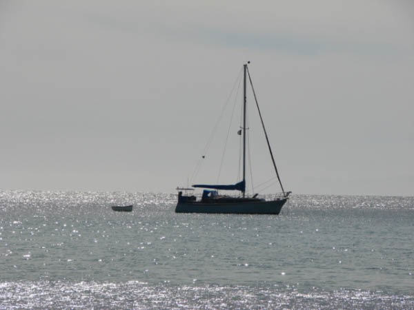 DSC01799