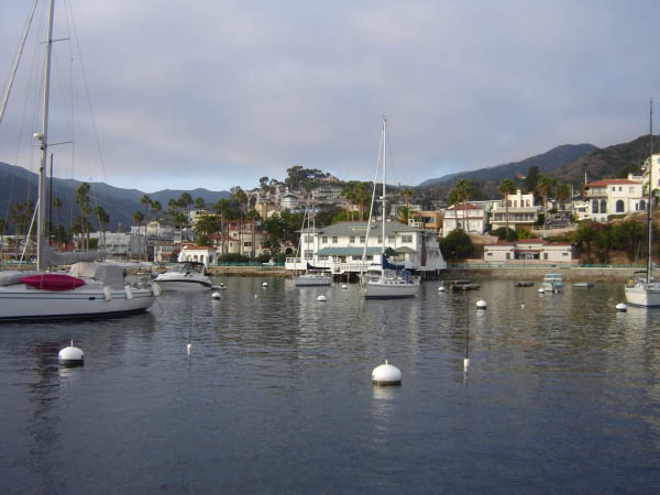 DSC00960